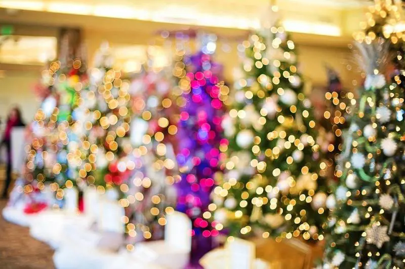 Cortocircuito alle luci di Natale: muore un 83enne, in salvo moglie e figlia