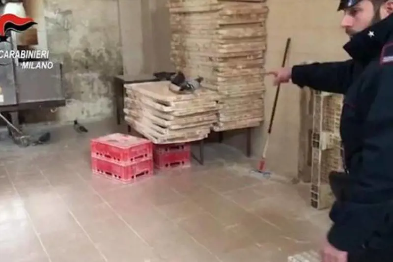 Piccioni ed escrementi di topo nel panificio per kebab