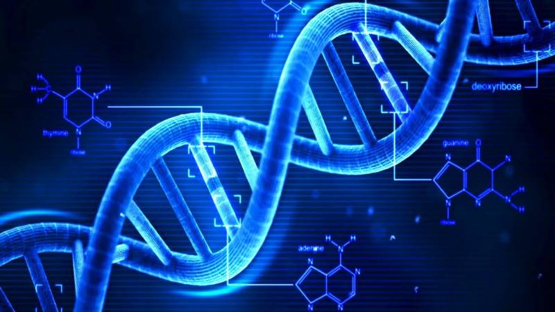 Nella scienza non si infrange nulla: la verità sulle molecole "impossibili"