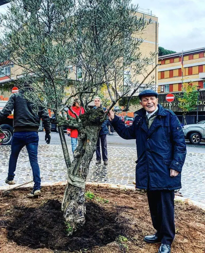 Così il web restituisce al centenario l'albero che la Raggi gli ha tolto