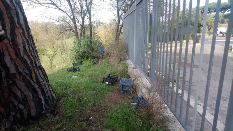 Degrado in ville e parchi: ora il Campidoglio le affida ai privati