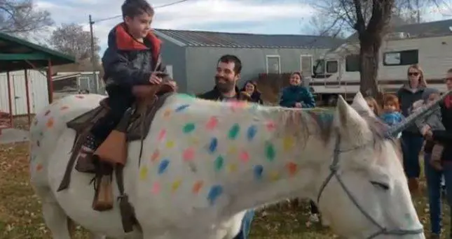 Stati Uniti, ha il cancro ma sogna di cavalcare un unicorno: esaudito il desiderio del bimbo malato