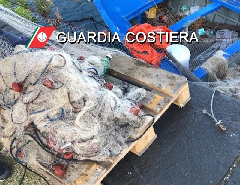 Sequestrate tre tonnellate di pesce non tracciabile