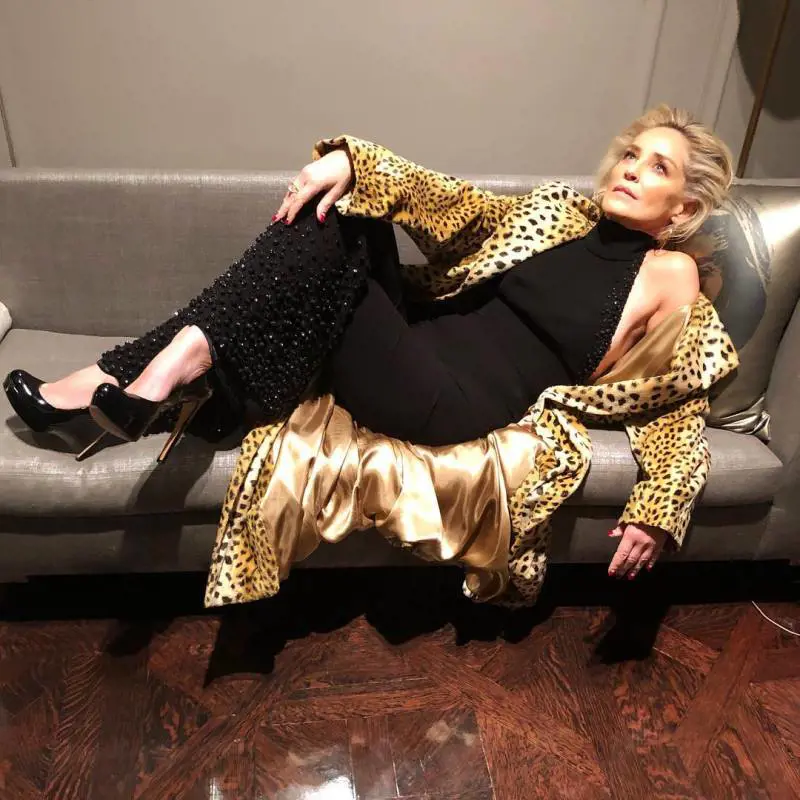 Se anche Sharon Stone rimorchia online