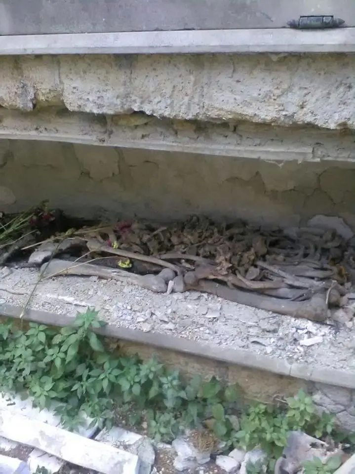 Lo scempio al cimitero: tra il degrado e l'incuria le ossa finiscono esposte