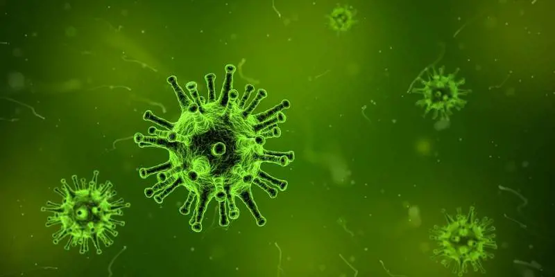 L’Escherichia Coli può causare le malattie cardiovascolari