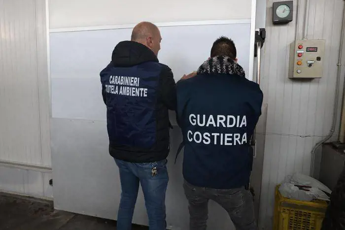 Calce edilizia al posto di quella alimentare: l'orrore scovato nell'azienda ittica