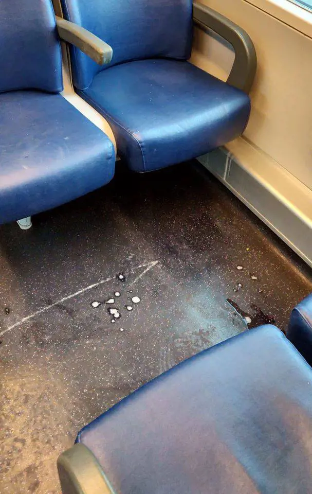 La studentessa denuncia: "Insulti e sputi sul treno solo perché sono cinese"