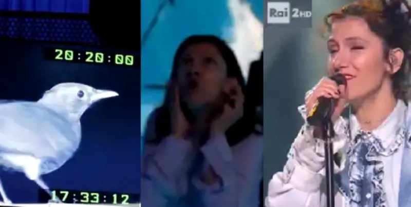 Elisa spaventata da un merlo: l'irruzione a Che tempo che fa