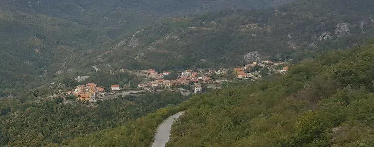 Resti umani nel bosco: sono di Luca Catania?