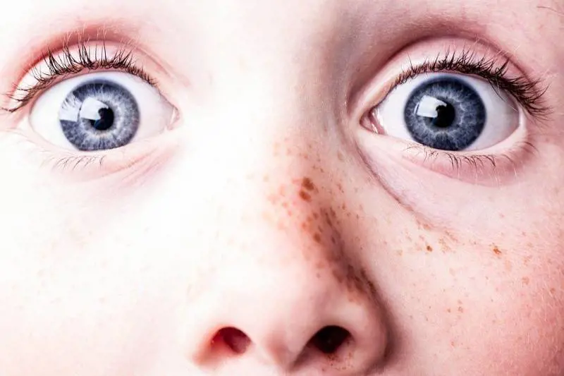Cosa succede al nostro cervello quando guardiamo un film horror