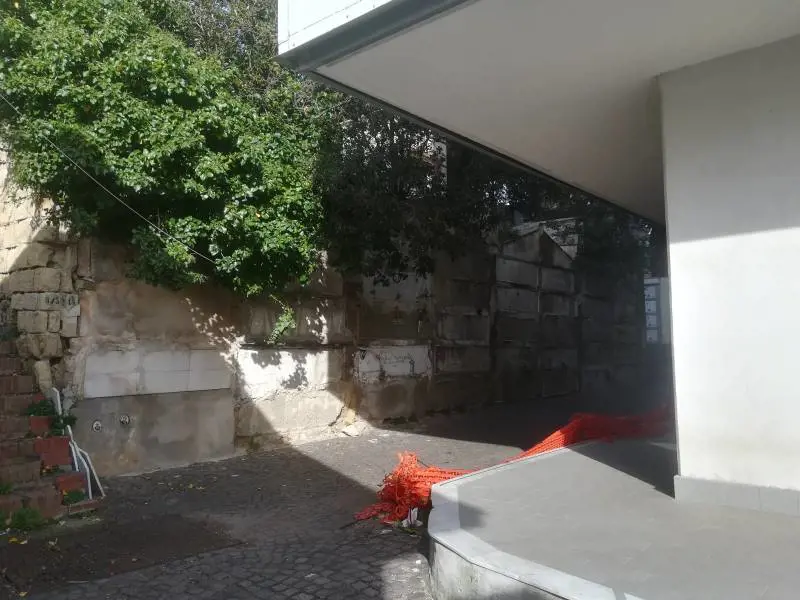 Immagine gallery