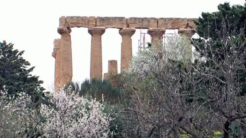 In 5000 nella Valle dei Templi ​per sfidare la paura del virus