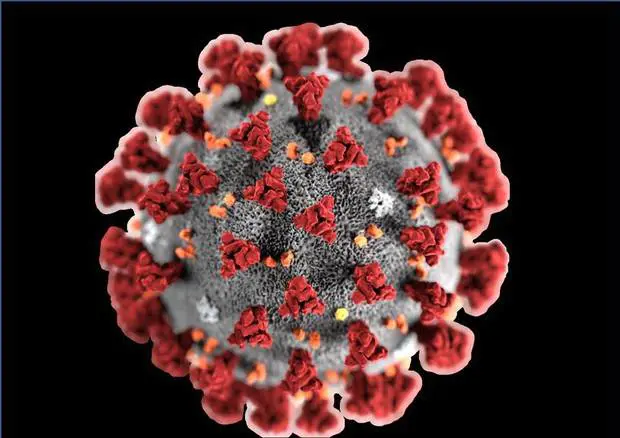 Coronavirus: il marchio adesso è registrato