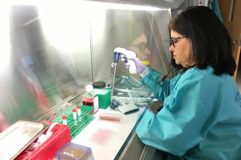 Coronavirus, l'infettivologo Galli: "Nessuna prova su un calo dei contagi in primavera"