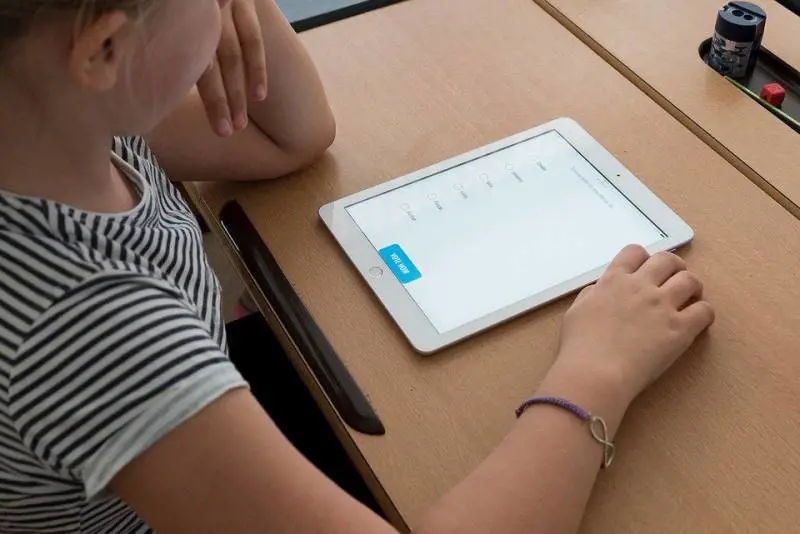 Coronavirus, tutte le criticità della scuola a distanza