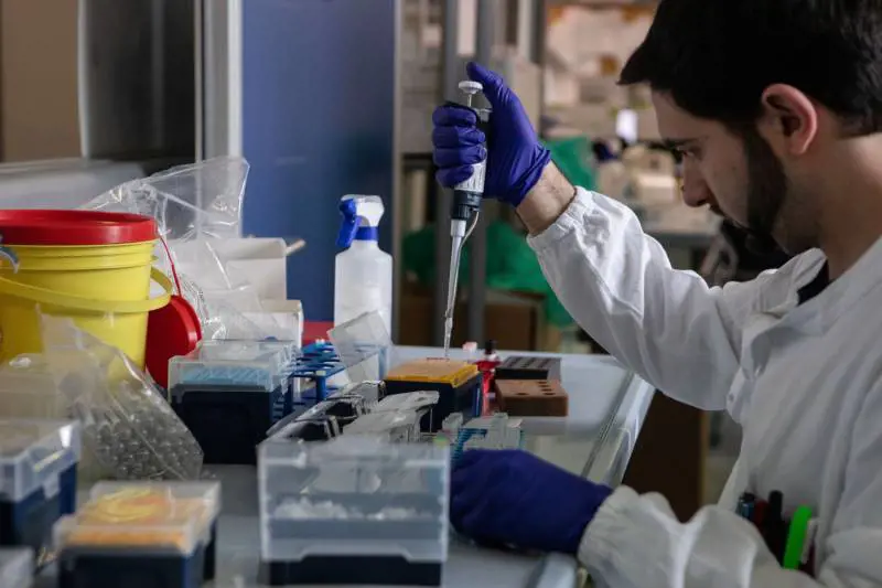 Un nuovo farmaco dà speranza "È un antimalarico e funziona"