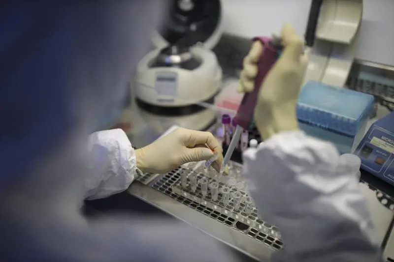 Elaboratori rotti e divelti: sabotato il laboratorio per i test Covid