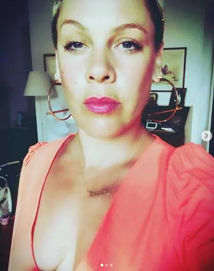 Pink, pianificazione "militare" della quarantena