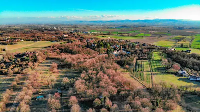 Un Tour(ing) nella bella Italia da scoprire con viaggi online