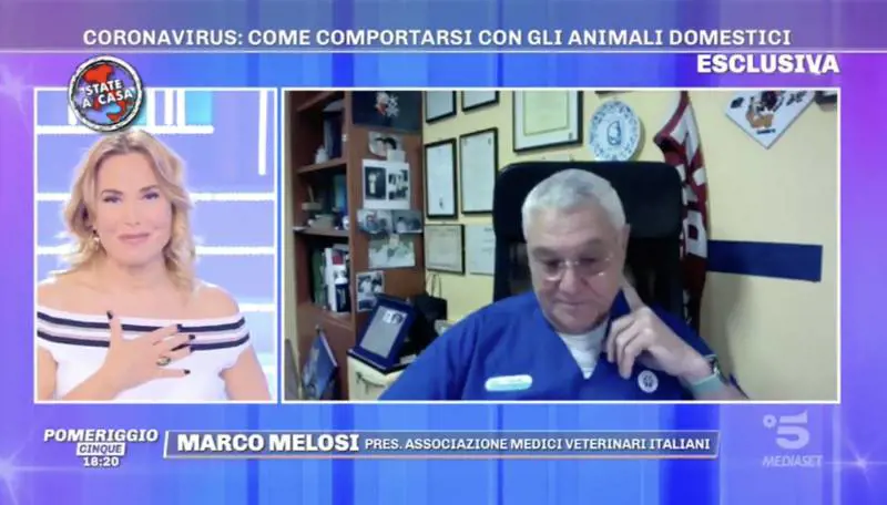 Pomeriggio5, il veterinario chiarisce l'uso della candeggina: "Ok due cucchiaini in un litro di acqua"