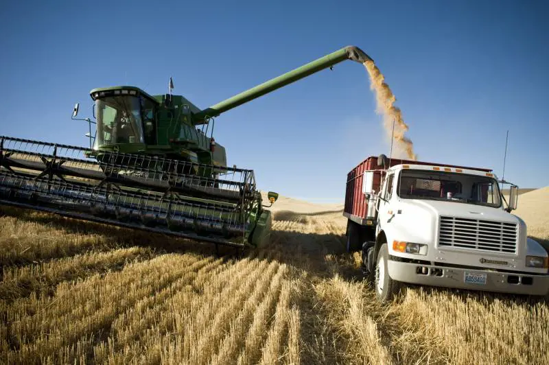 La pasta è a rischio produzione? Ecco cosa succederà nei prossimi mesi