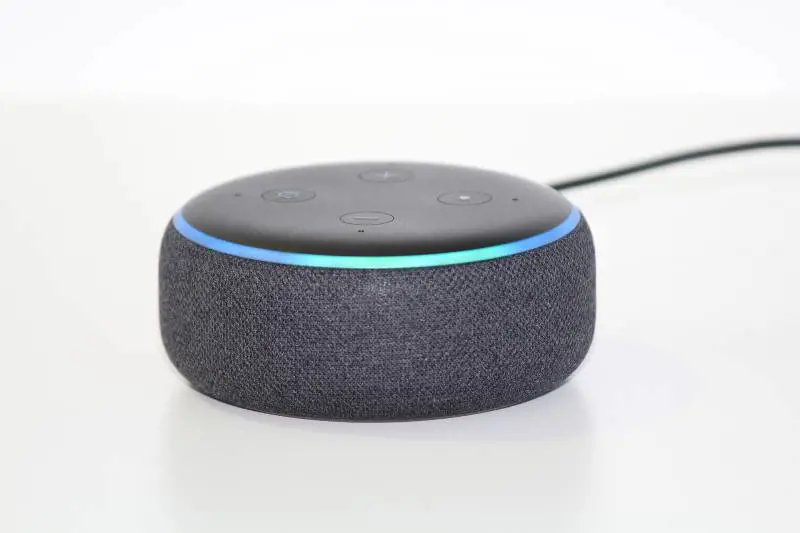 Dramma solitudine. "Alexa, mi aiuti?", e muore di coronavirus