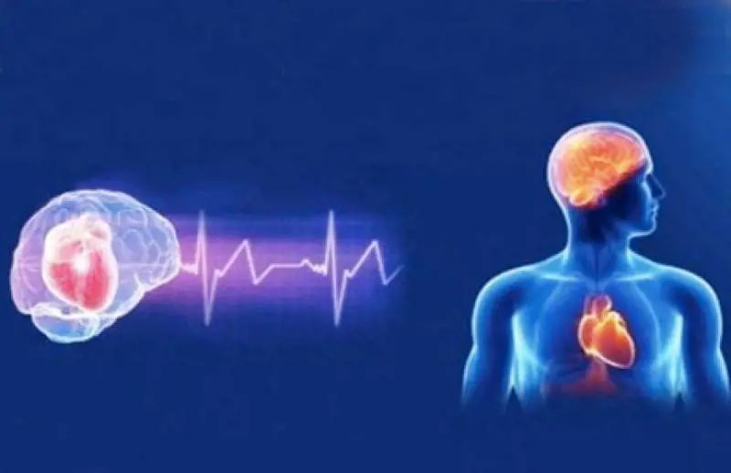 Ecco che cosa accade quando Covid attacca il cuore e il cervello