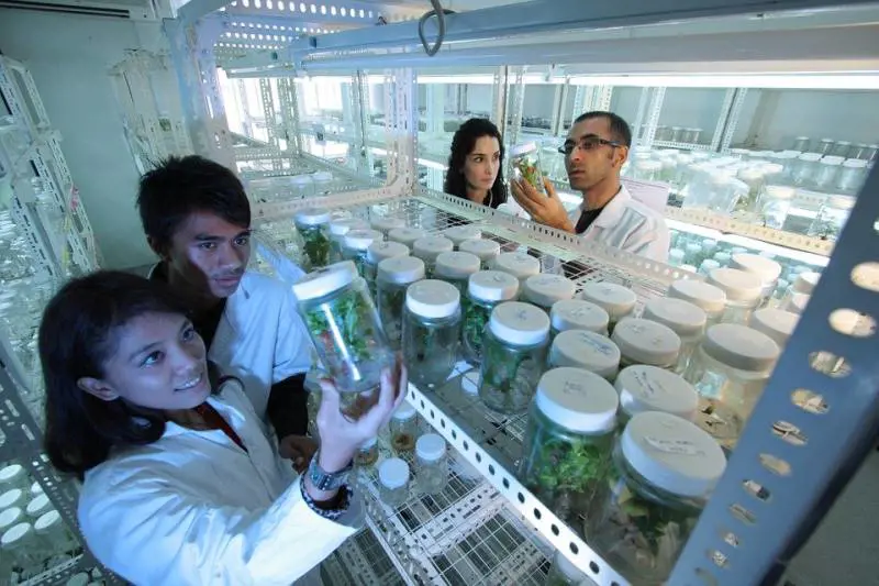 Le professioni in ascesa ai tempi del Coronavirus