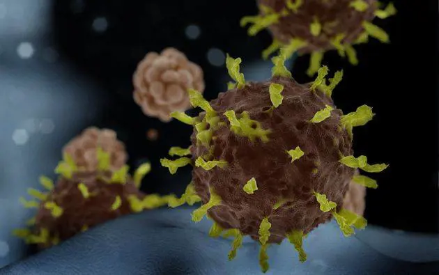 "Tracce del virus nelle acque": ecco che cosa c'è da sapere