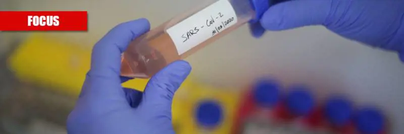 L'origine, le mutazioni e la fine: tutti i misteri sul coronavirus