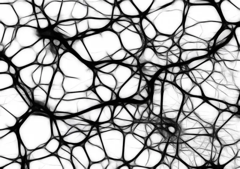 Morbo di Parkinson, scoperta la "coppia molecole" che rallenta la malattia