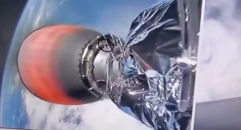 "C'è un topo nella navicella": svelato il "mistero" di SpaceX