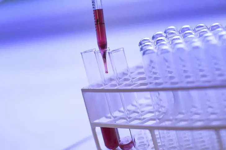 Carcinoma gastrico, cosa migliora la sopravvivenza
