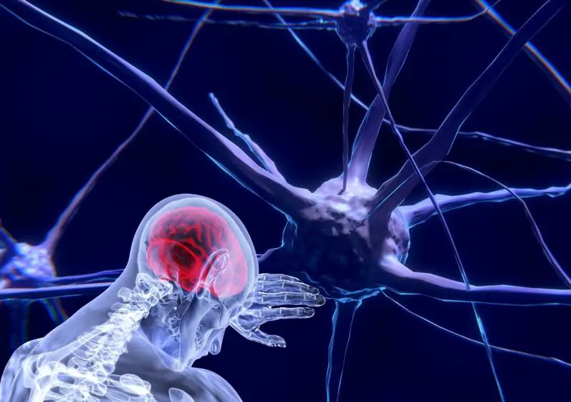 C'è un "pulsante" per ibernare il cervello: ecco cosa dicono gli scienziati