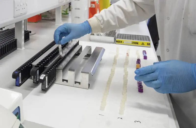 Covid-19 e gruppi sanguigni: così il sangue influenza il virus