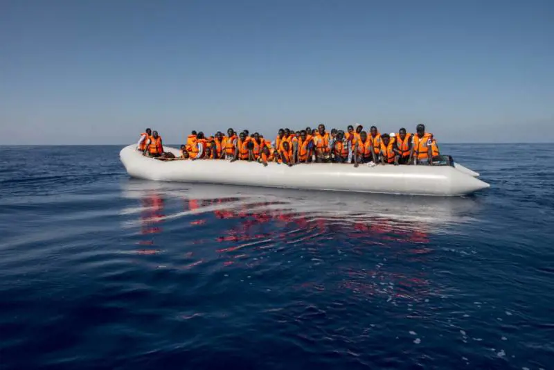 Migranti sbarcano coi gattini, il principe George e Letta: quindi, oggi...