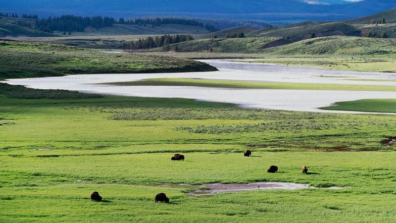 Parco Nazionale Yellowstone