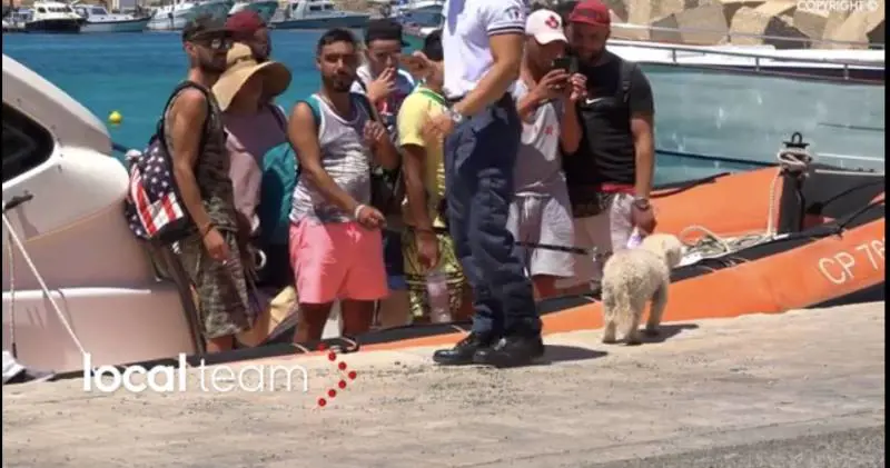 Uno screenshot del video dello sbarco da LocalTeam