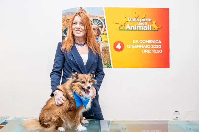 "Cavalli come cani e gatti, vietato mangiarli"