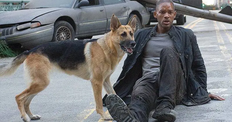 Will Smith contro un virus spaventoso. Io sono leggenda sfiora la realtà