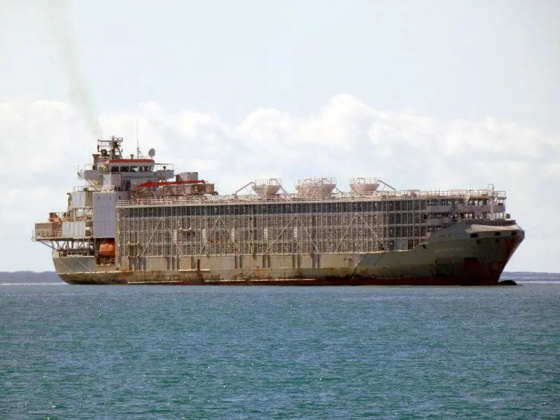 Quando "l'arca di Noè" affonda e sparisce. A bordo c'erano 42 marinai e 5.800 mucche