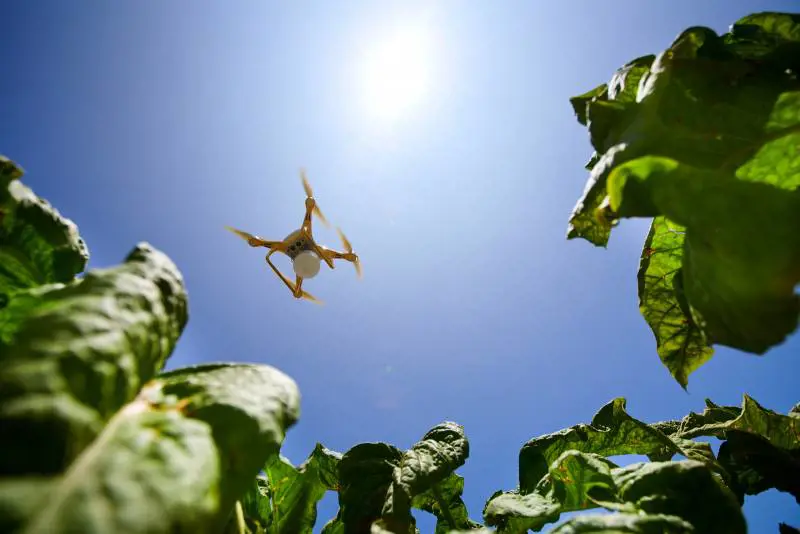 Tecnologia e innovazione: così l'agricoltura italiana si rinnova