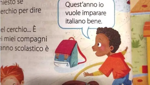 L'integrazione scambiata per razzismo