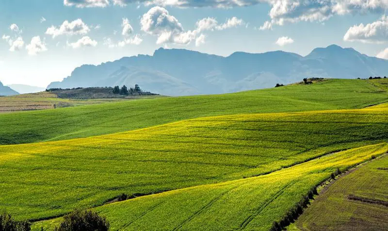 Firme a difesa degli agricoltori bocciati dal Comune