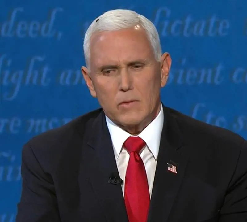 Mosca sui capelli di Pence: i social si scatenano