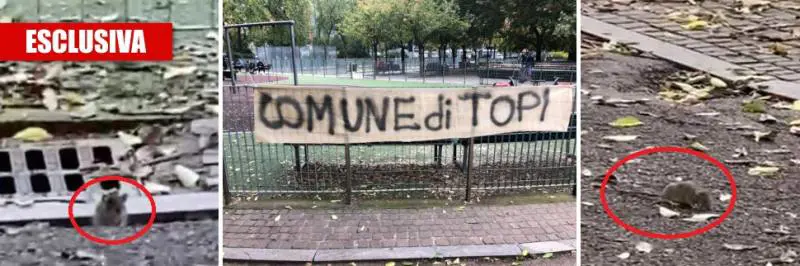 Ecco la Milano di Sala: topi tra i bimbi al parco