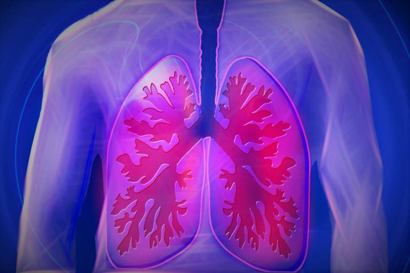 sistema polmonare