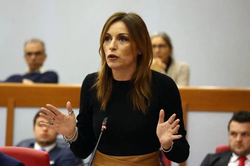 "Basta premiare i furbetti. Cambieremo la legge per tutelare i nostri autori"