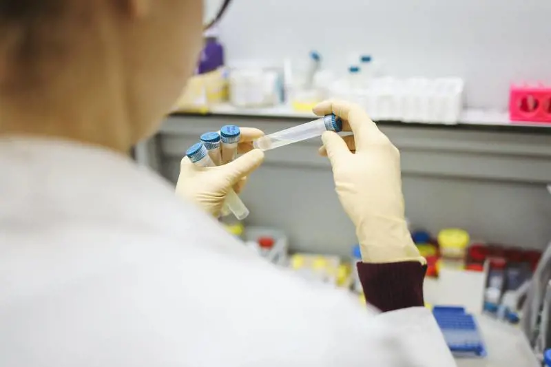 Cos’è la "terapia dei vermi" che combatte l’antibiotico-resistenza